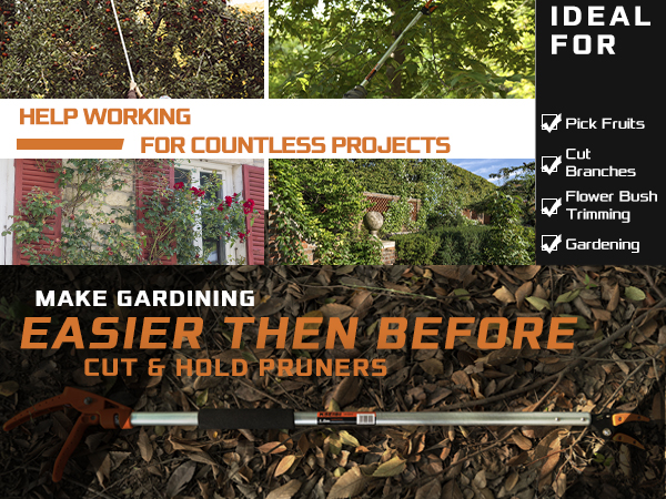 helps working for countless projects