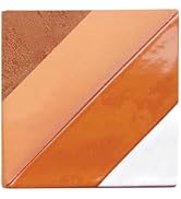 Sax Low Fire Moist Earthenware Clay, 50 Pounds, Red - 400237