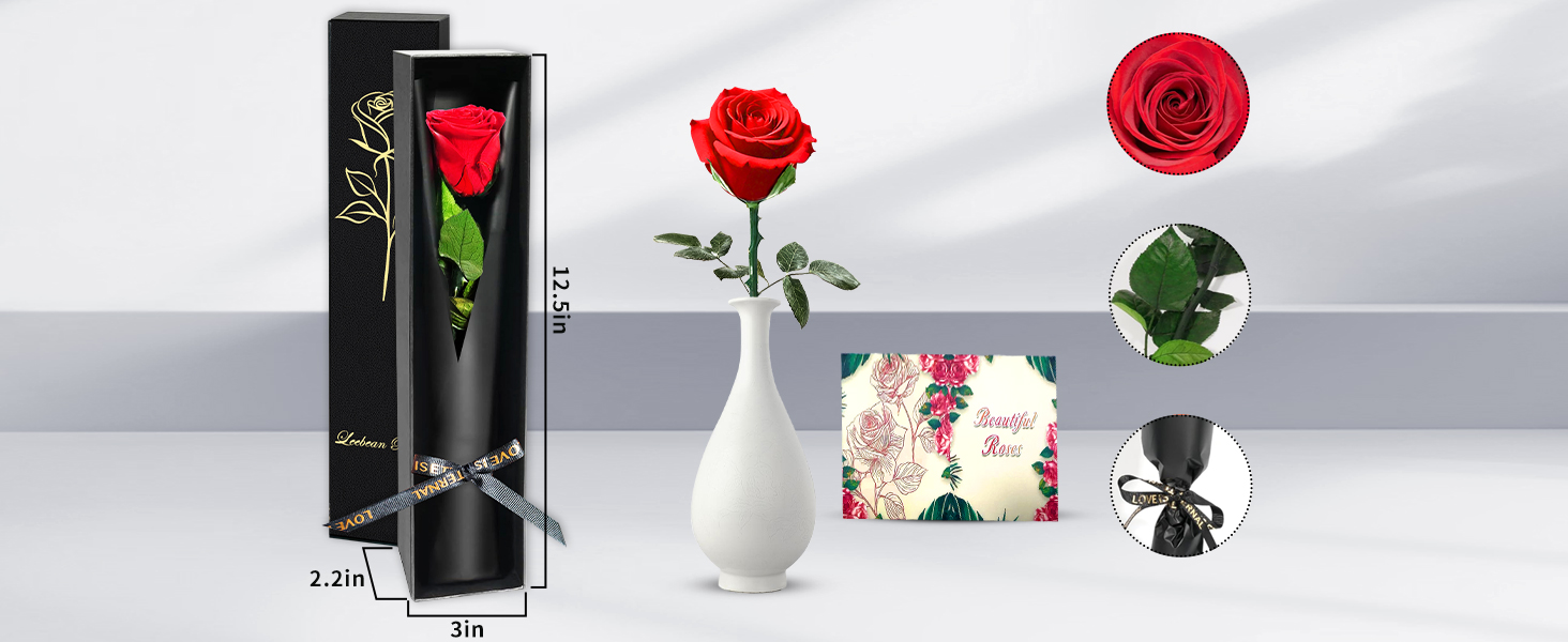 preserved rose