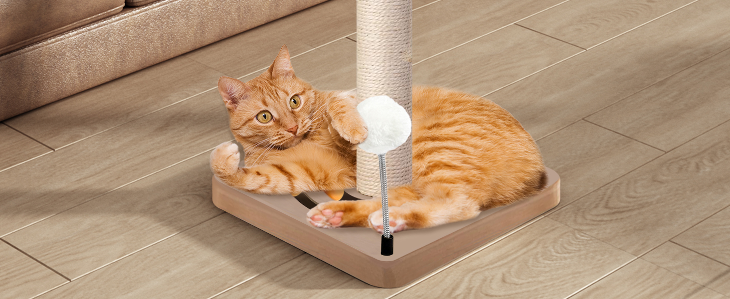 Cat Scratching Post