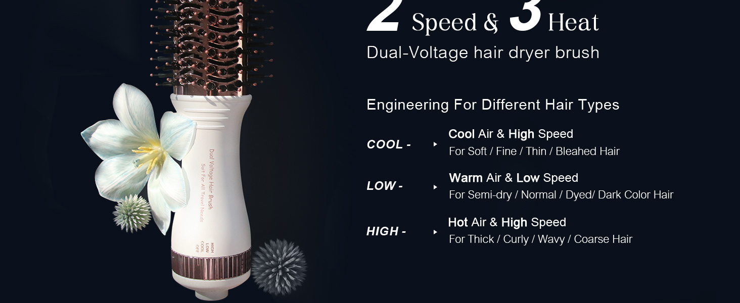 2 speed and 3 heat Dual Voltage Hair Dryer Brush