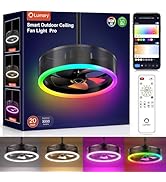 Lumary 20'' Smart Outdoor Ceiling Fans with Lights Pro, Wi-Fi Bluetooth Direct Connect RGBCW Gaze...