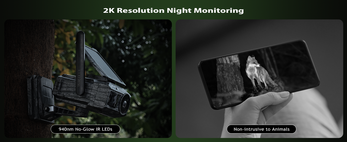 2K Resolution Night Monitoring