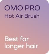 hot air brush