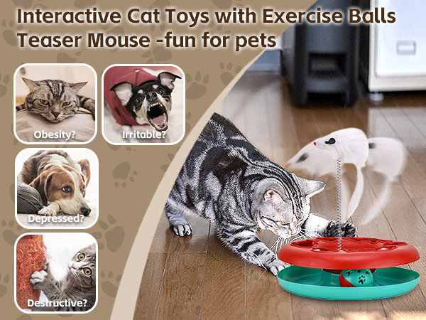 cat toys