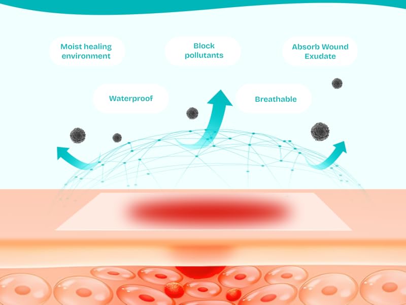 Hydrocolloid: The Smart Way to Heal Wounds Faster