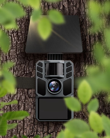 solar trail camera