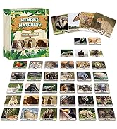 gisgfim 50 Pairs Memory Matching Game Wild Animals Concentration Memory Card Matching Games