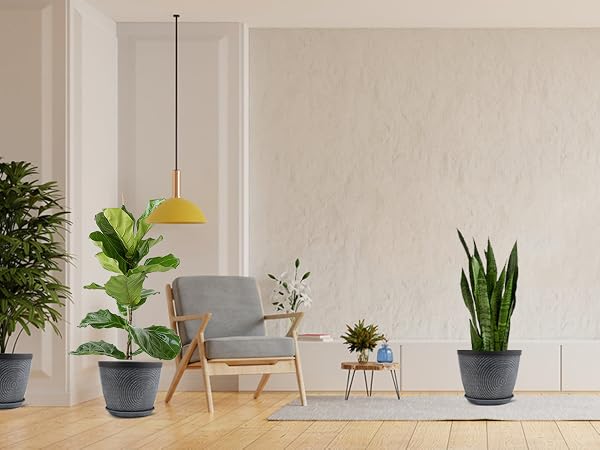 plant pots for indoor
