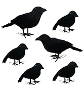 NEROSUN 6 Pack Halloween Black Feathered Crows, 5.7" & 8.7" Realistic Feathered Black Birds Raven...