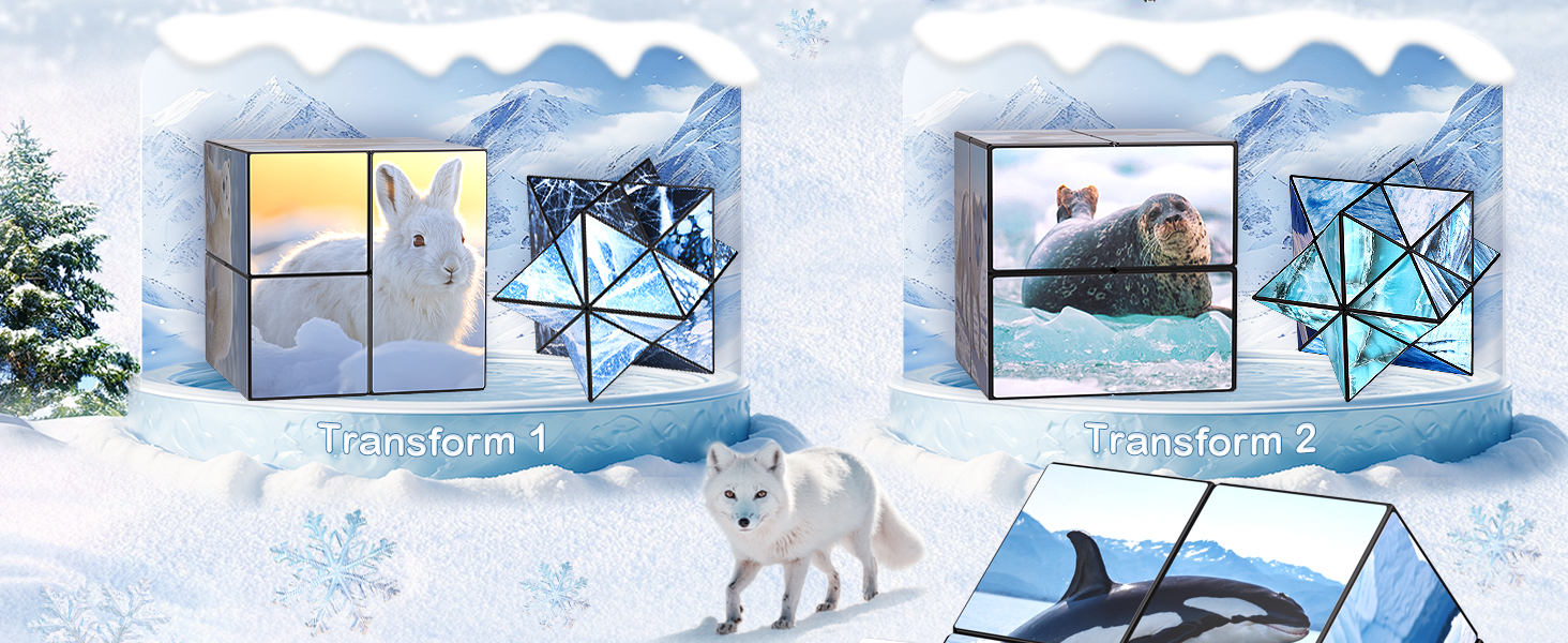 Travel Yoshimoto Cube