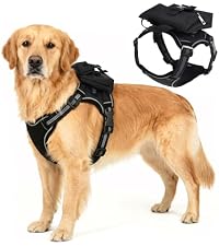 https://m.media-amazon.com/images/I/41tYLp4NdnL.__AC_SR200,225___.jpg