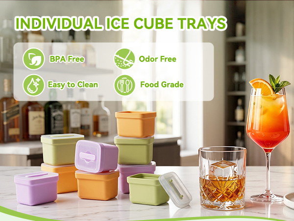 Silicone Ice Cube Molds Set of 6