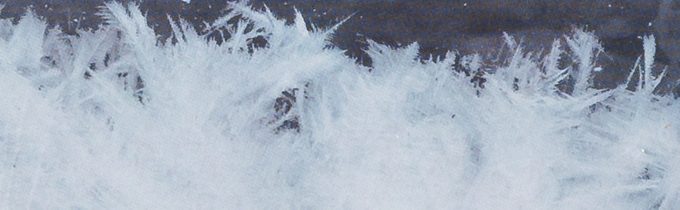 closeup