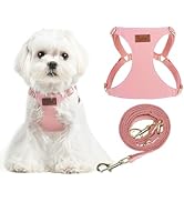PUPTECK Dog Harness and Leash Set Small Sized, Step-in Cute Puppy Harness, Soft Lightweight Padde...