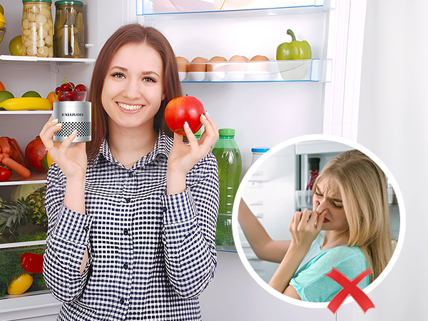 refrigerator odor eliminator