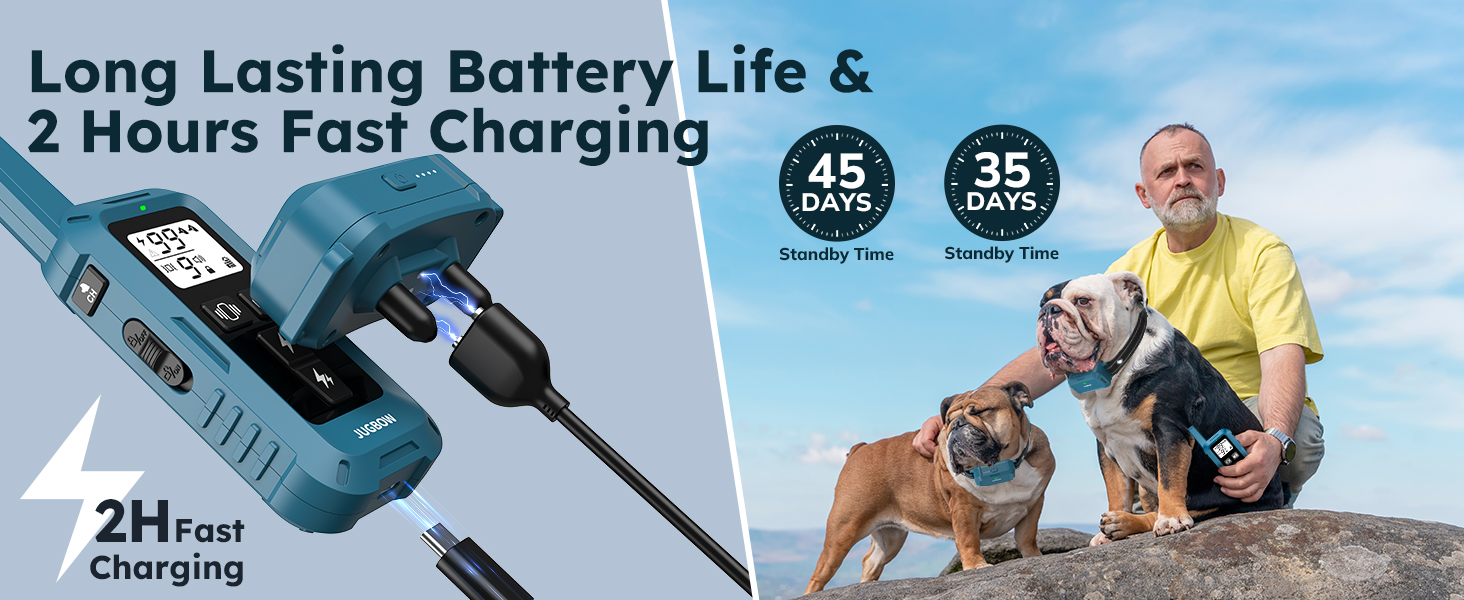 dog shock collars for medium dogs