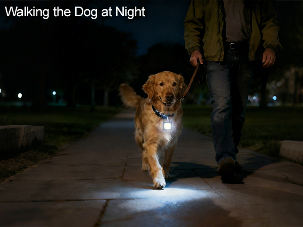 Keep your dog safe with the bright keychain light while walking at night.