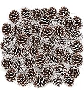 50 Pack Pine Cones, 1.96 in Natural Brown Christmas Ornaments for Crafts and Tree Decorations, Bu...