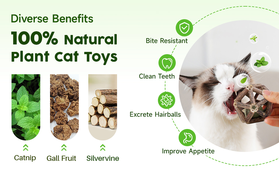 cat toy