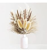 Ruidazon Pampas Grass Decor, Natural Dried Pampas Grass Small Pompus Branches Fluffy Pompous Gras...