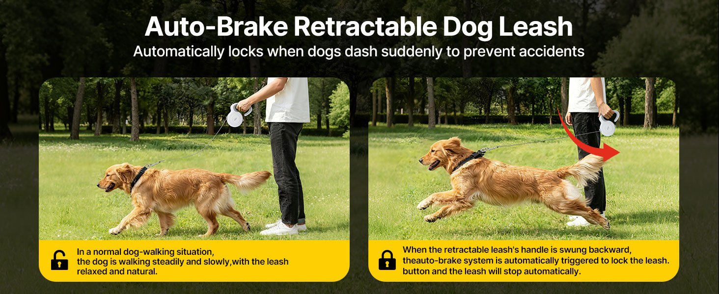 Retractable Dog Leash