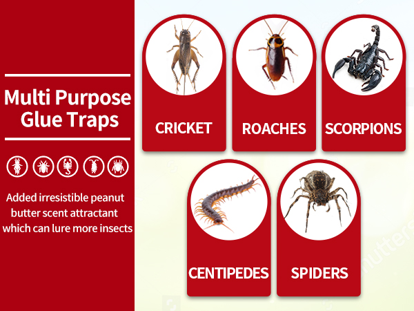 sticky glue traps for insects