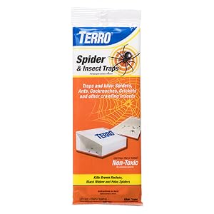 TERRO, insect control, kill ants, spider killer, glue trap, glue board, glue tray