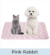 Pink Rabbit