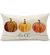 DFXSZ Fall Pillow Covers 12x20 Inch Autumn Thanksgiving Orange Oil Painted Pumpkins Lumbar Polyes...