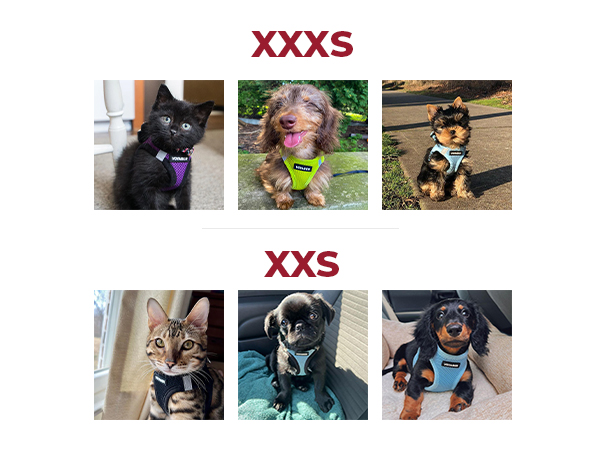 XXXS and XXS sizes for harness