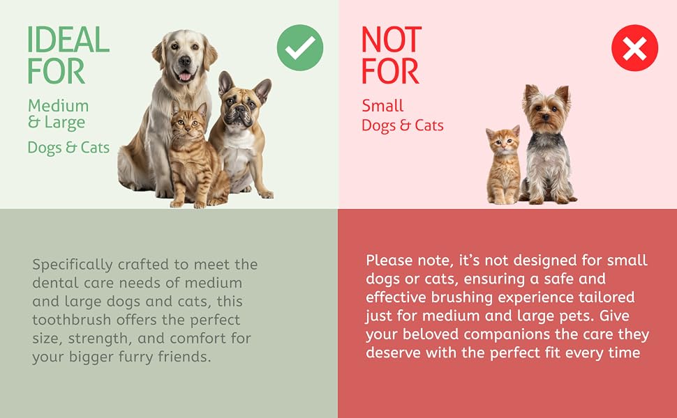 Double-sided pet toothbrush for medium & large dogs and cats