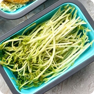 800ml Food Storage Container