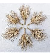 Mini Dried Flower Bouquet Set of 6 for Boho Floral Wedding, Table Centerpieces,Small Dry Pampas G...