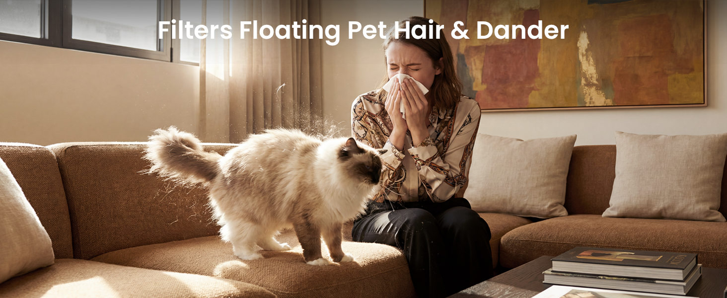 P358 Pet air purifier for floating hair