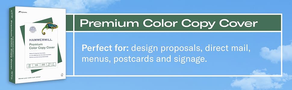 Cardstoc; Card Stock; Thick paper; Heavy Paper; White Cardstock; 8.5x11