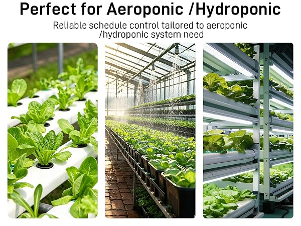 perfect for aeroponic and hydroponic
