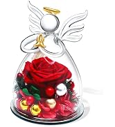 SITUMEIZI Christmas Rose Gifts for Women,Birthday Gifts for Women Mom,Preserved Rose in Glass Ang...