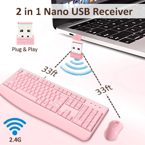 2 in 1 Nano USB Receiver