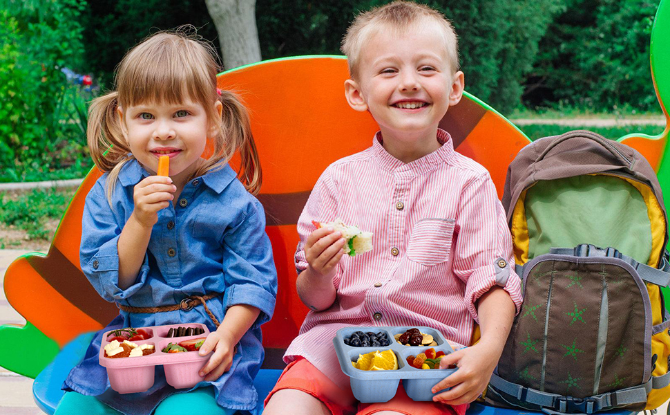 snack box containers