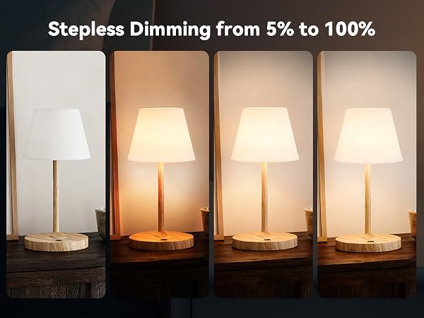 Stepless Dimming from 5% to 100%