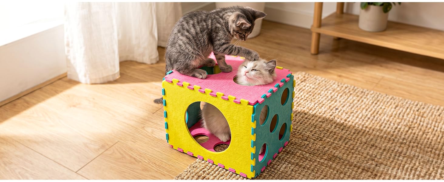 cat toys