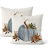 DAFENA Fall Pillow Covers 18x18 Inch 2 Pcs Vintage Gray Blue Pumpkin Leaves Decor Throw Pillows A...