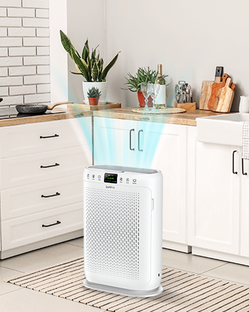 air purifier