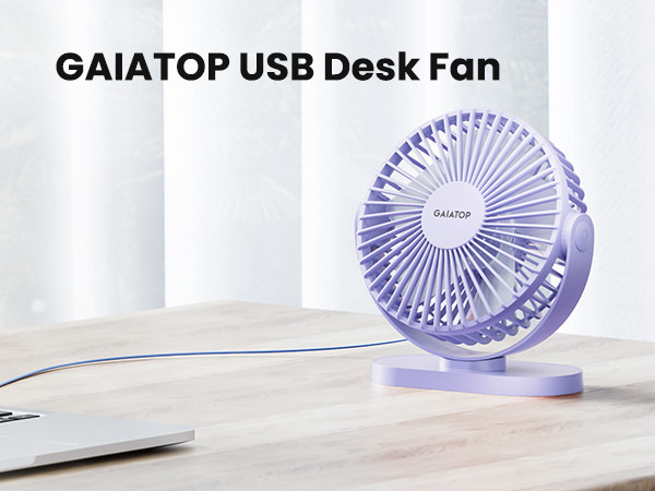 personal fan
