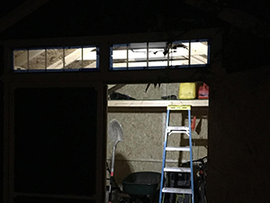 night light for shed