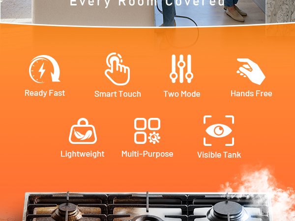 house steam cleaner