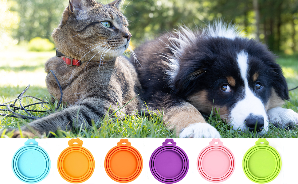 dog food can lid