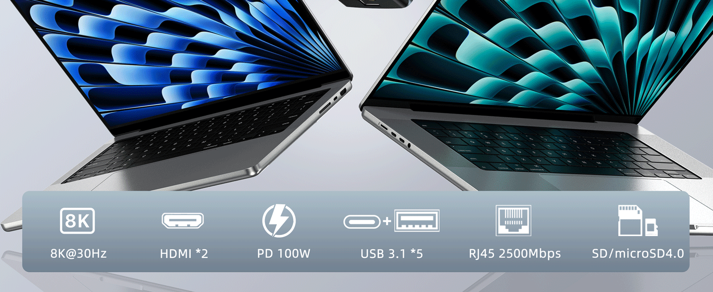 laptop docking station dual monitor