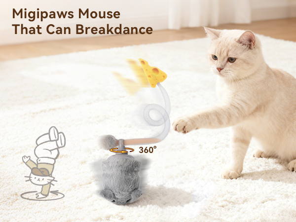 Text reads 'Headspin&Breaking Mouse'. Series of photos showing a white cat playfully spinning